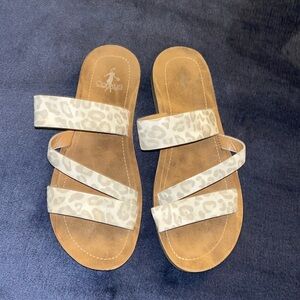 Leopard Corkys • BOGO